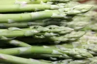 asparagus.webp