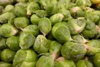 brussel-sprouts.webp